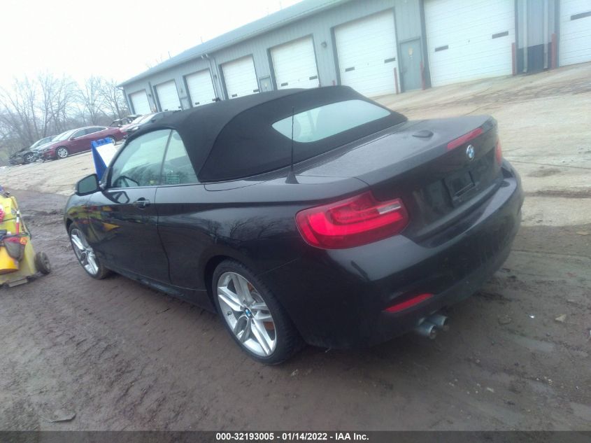 2015 BMW 2 SERIES 228I WBA1K5C55FV474148