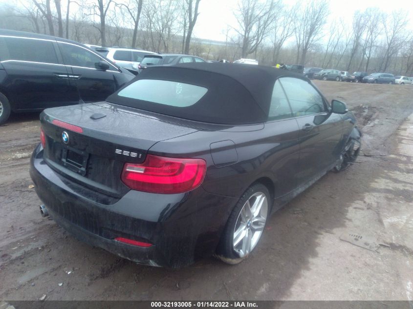 2015 BMW 2 SERIES 228I WBA1K5C55FV474148