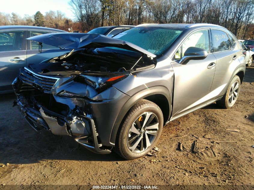 2021 LEXUS NX NX 300 JTJGARDZ8M2255902