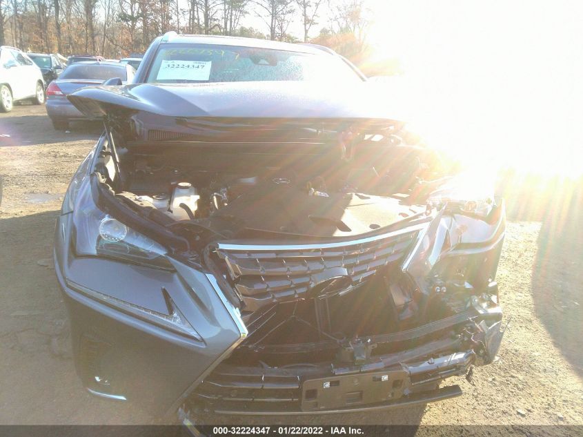 2021 LEXUS NX NX 300 JTJGARDZ8M2255902
