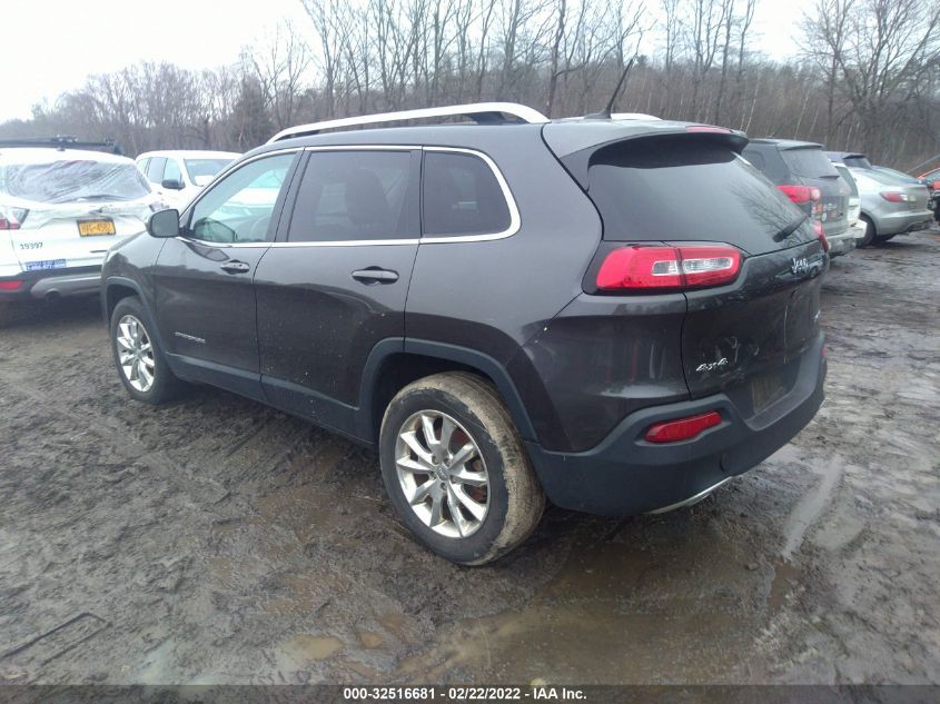 2014 JEEP CHEROKEE LIMITED 1C4PJMDS9EW196989