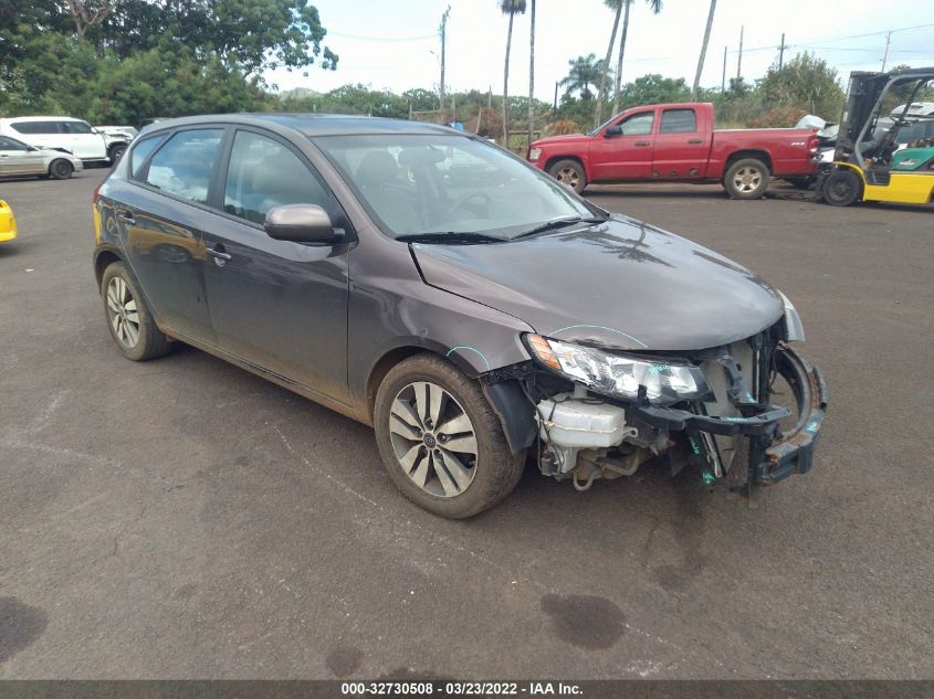 2013 KIA FORTE 5-DOOR EX KNAFU5A22D5611973