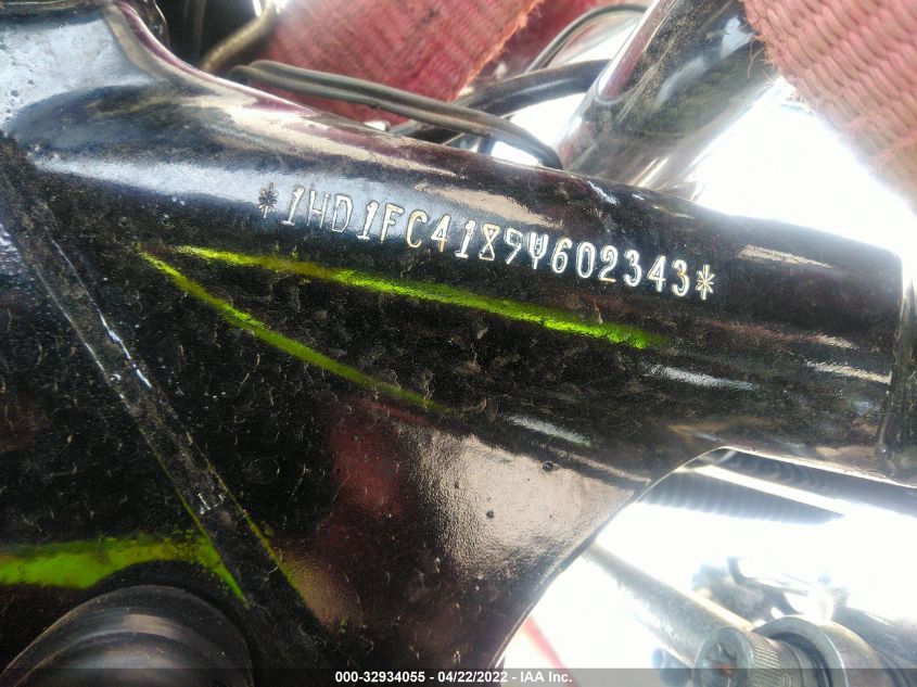 2009 HARLEY-DAVIDSON FLHTCU 1HD1FC4189Y602343