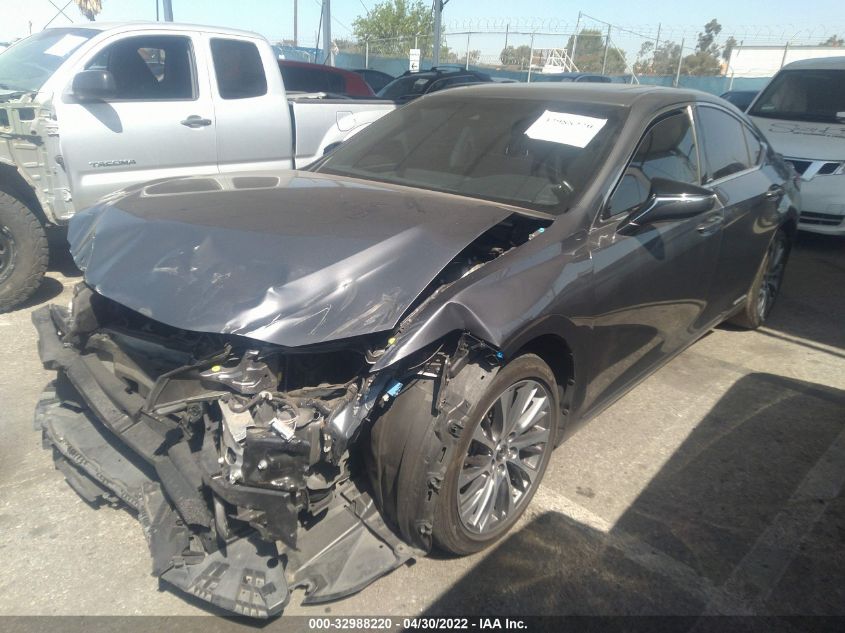 2019 LEXUS ES ES 300H JTHB21B14K2035645