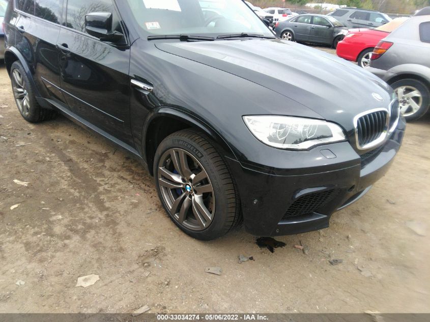 2013 BMW X5 M 5YMGY0C52DLL15957