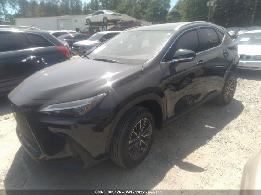 2022 LEXUS NX NX 250 JTJADCAZ6N2000116