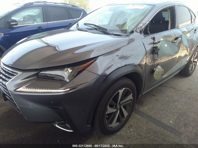 2021 LEXUS NX NX 300H JTJGJRDZ3M2148434