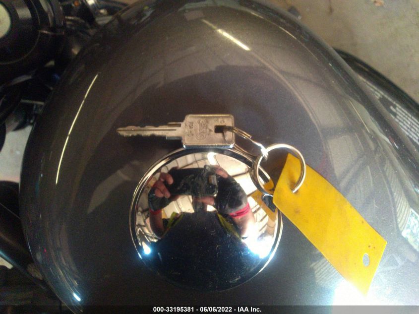 2015 HARLEY-DAVIDSON XL1200 FORTY-EIGHT 1HD1LC319FC443660
