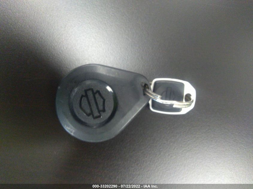 2020 HARLEY-DAVIDSON FLSL 1HD1YDJ19LB047028