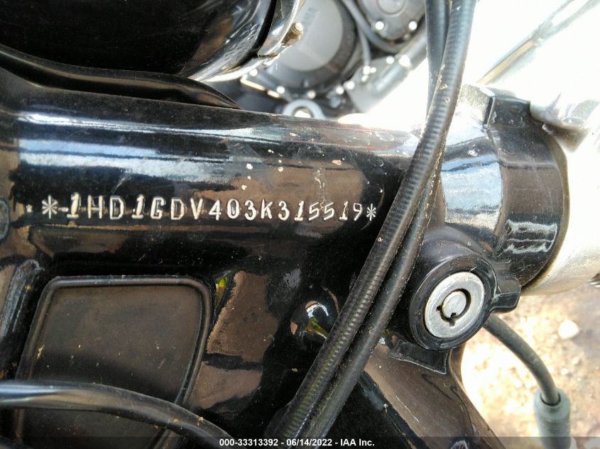 2003 HARLEY-DAVIDSON FXDL ANNIVERSARY 1HD1GDV403K315519