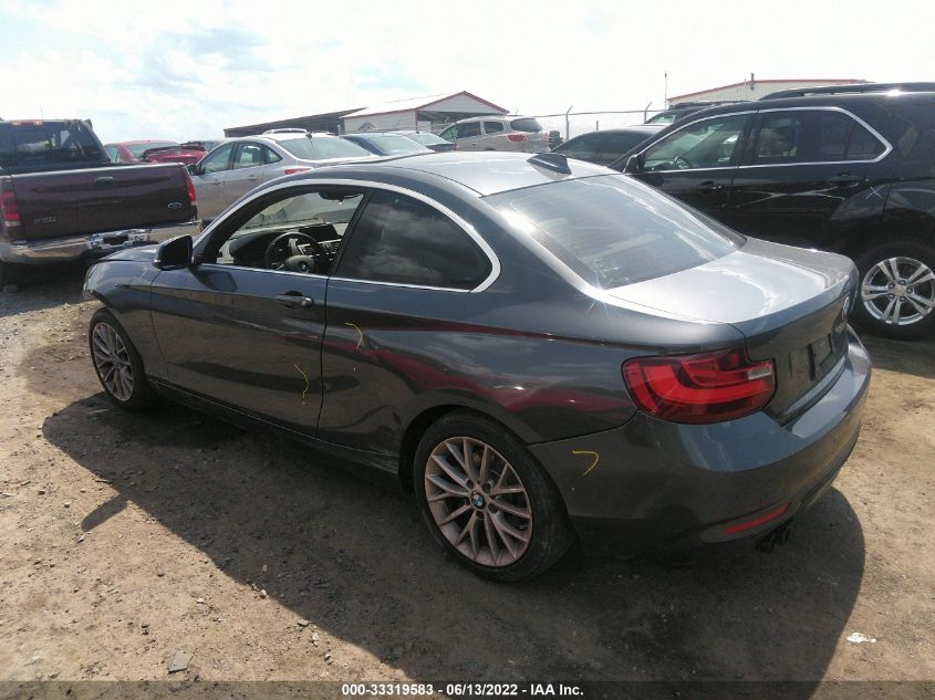 2016 BMW 2 SERIES 228I WBA1F9C50GV546144