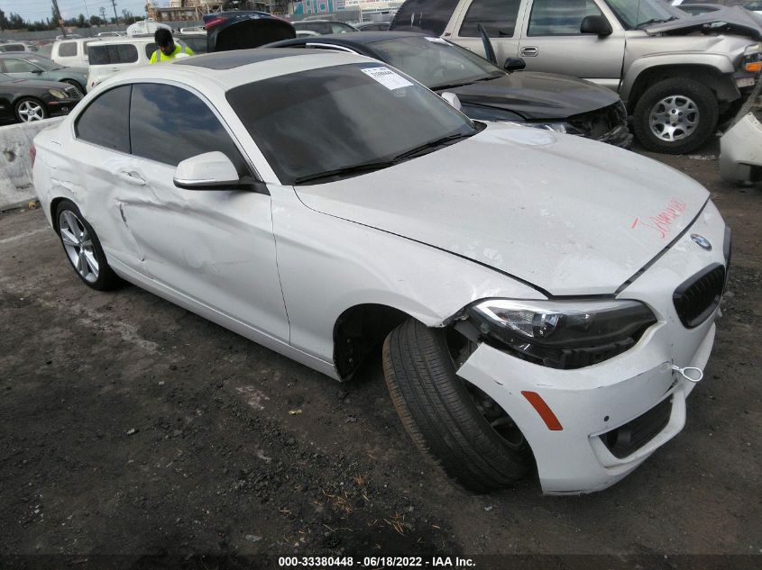2015 BMW 2 SERIES 228I WBA1F9C51FVW98514