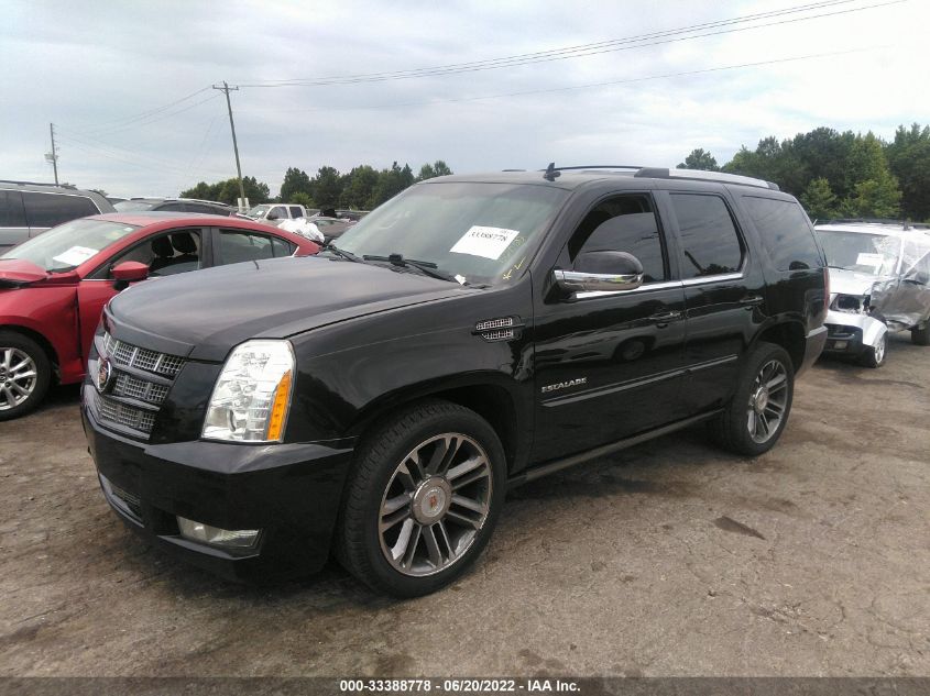 2013 CADILLAC ESCALADE PREMIUM 1GYS4CEF9DR101190