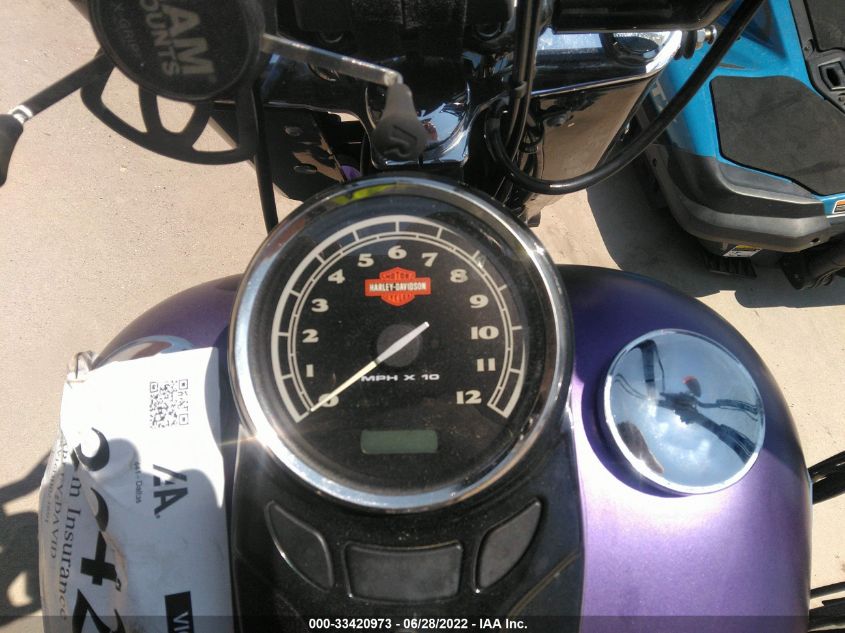 2013 HARLEY-DAVIDSON FLS SOFTAIL SLIM 1HD1JRV16DB024691