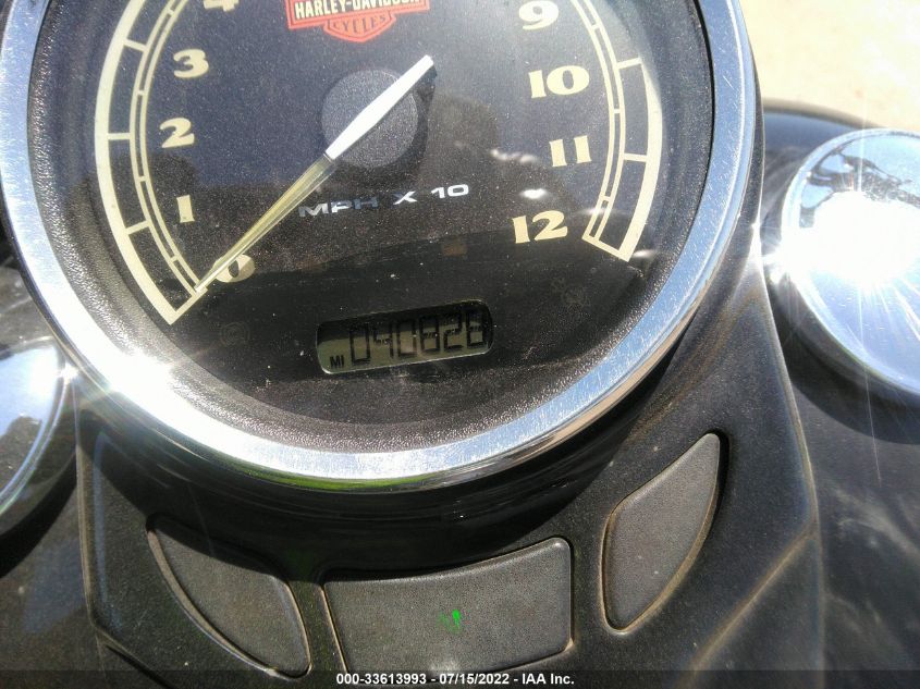 2013 HARLEY-DAVIDSON FLS SOFTAIL SLIM 1HD1JRV31DB049435