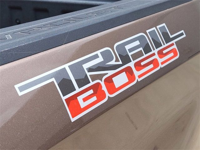 2019 CHEVROLET SILVERADO K1500 LT TRAIL BOSS 3GCPYFED8KG276768