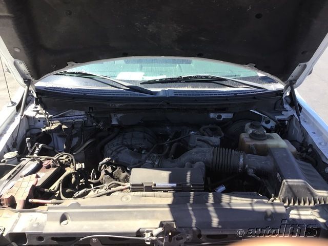2013 FORD F150 XL/STX/XLT 1FTMF1CM5DKE63251