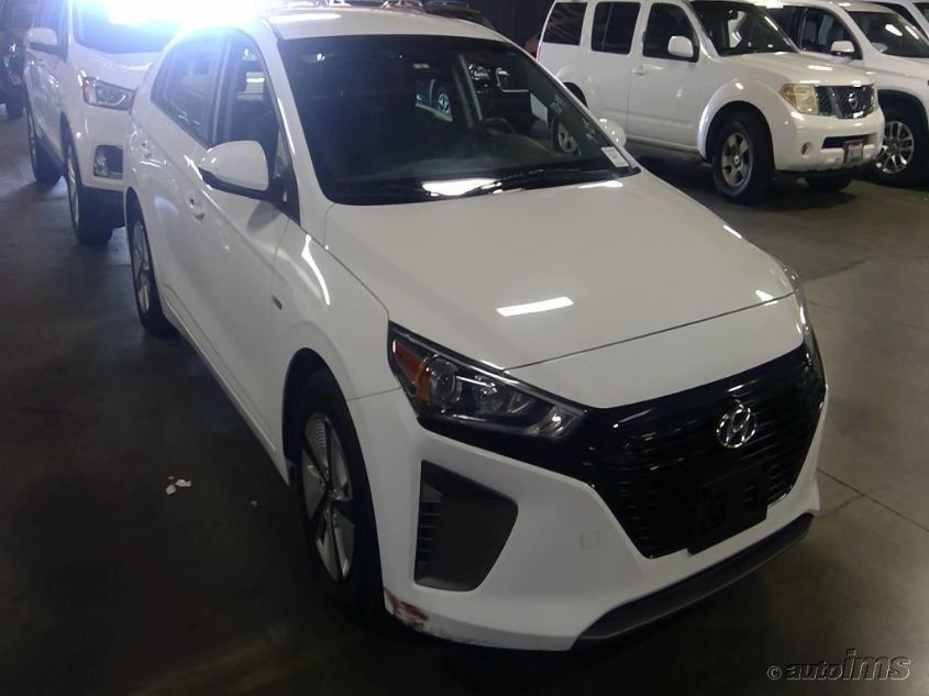 2019 HYUNDAI IONIQ BLUE KMHC65LCXKU171215