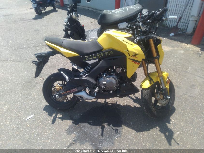 2022 KAWASAKI BR125 J JKABRRJ14NDA24048