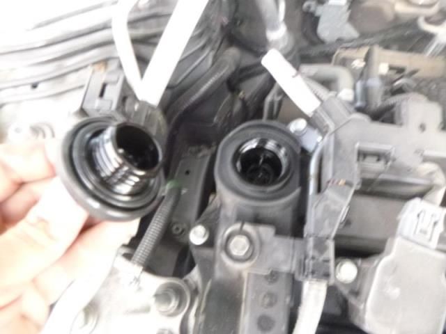 2021 HONDA ACCORD SPORT 1HGCV1F31MA067522