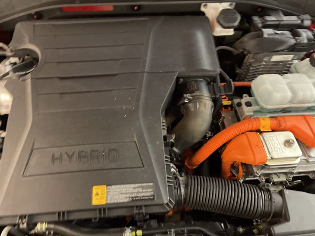 2019 HYUNDAI IONIQ BLUE KMHC65LC1KU175704