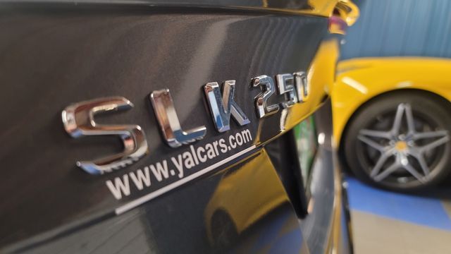 2014 MERCEDES-BENZ SLK-CLASS SLK 250 WDDPK4HA2EF078223