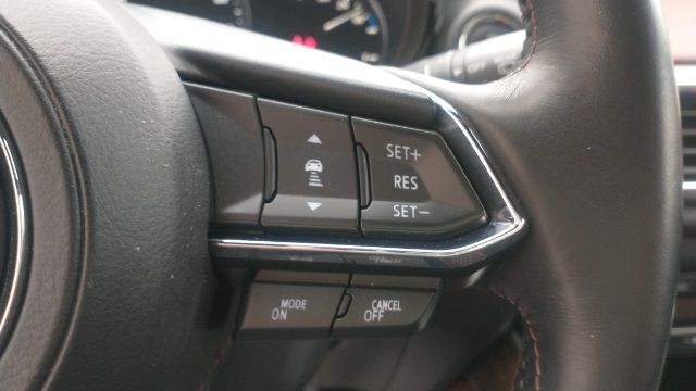 2019 MAZDA CX-9 SIGNATURE JM3TCBEY2K0307498