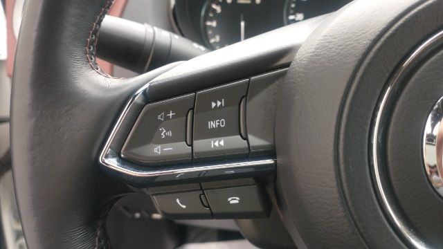 2019 MAZDA CX-9 SIGNATURE JM3TCBEY2K0307498