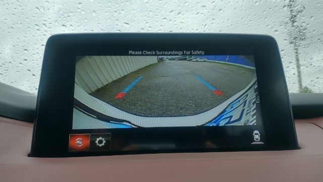 2019 MAZDA CX-9 SIGNATURE JM3TCBEY2K0307498
