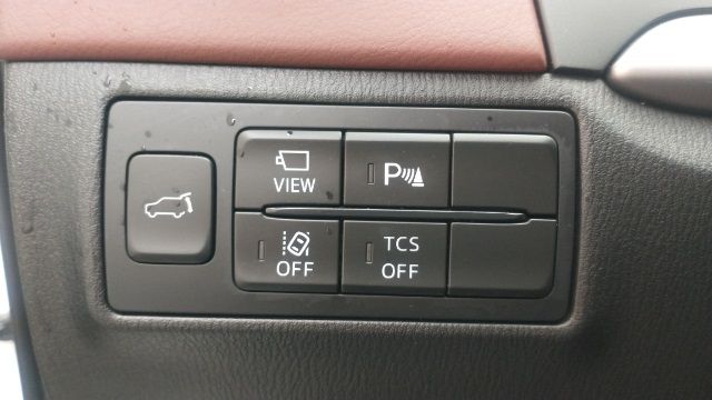 2019 MAZDA CX-9 SIGNATURE JM3TCBEY2K0307498