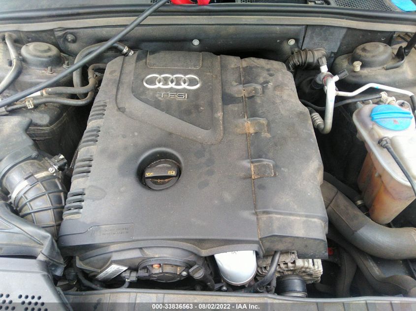 2013 AUDI A4 PREMIUM PLUS WAUFFAFL3DA061954