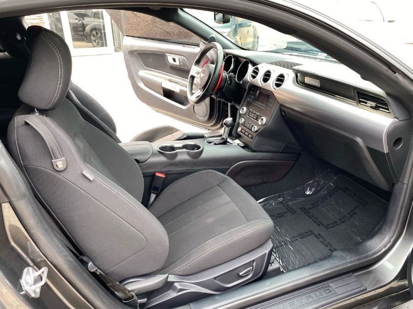 2019 FORD MUSTANG GT 1FA6P8CF5K5163419