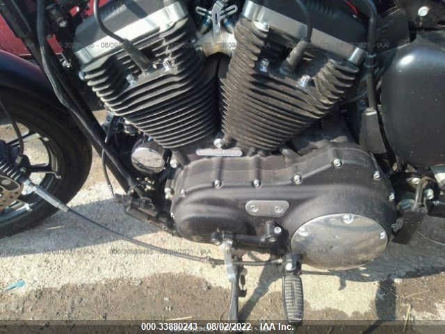 2020 HARLEY-DAVIDSON XL883 N 1HD4LE21XLB404474
