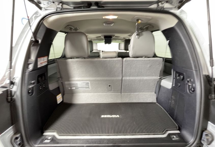 2020 TOYOTA SEQUOIA PLATINUM 5TDDY5G17LS181248