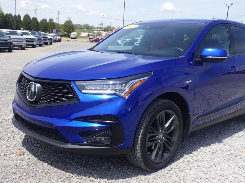 2019 ACURA RDX W/A-SPEC PKG 5J8TC1H63KL000242