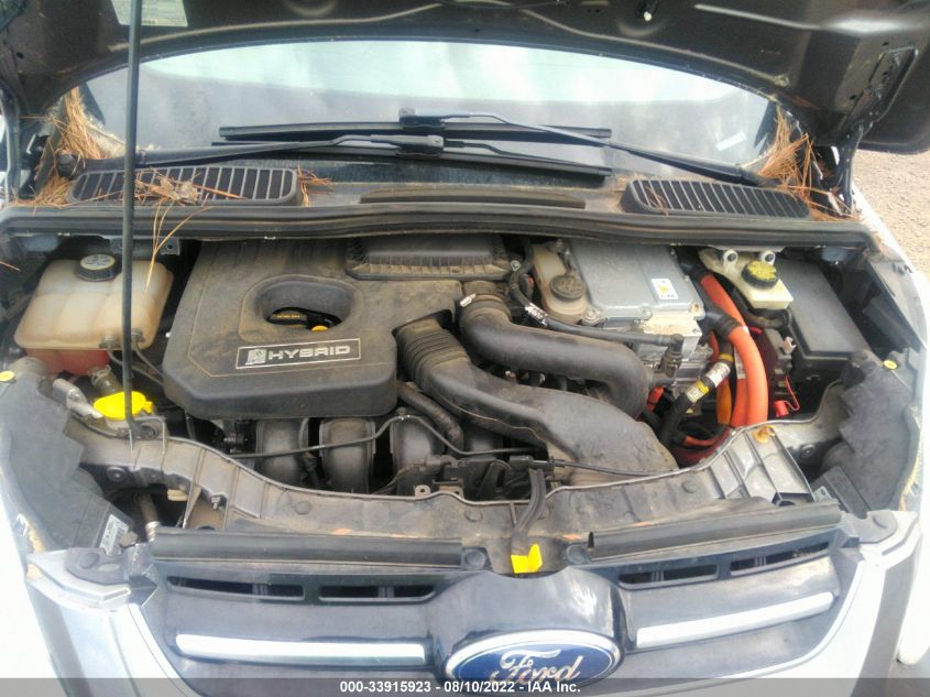 2013 FORD C-MAX HYBRID SEL 1FADP5BU0DL529372