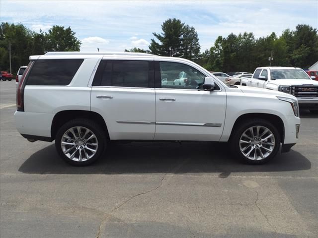 2018 CADILLAC ESCALADE PREMIUM LUXURY 1GYS4CKJ5JR236199