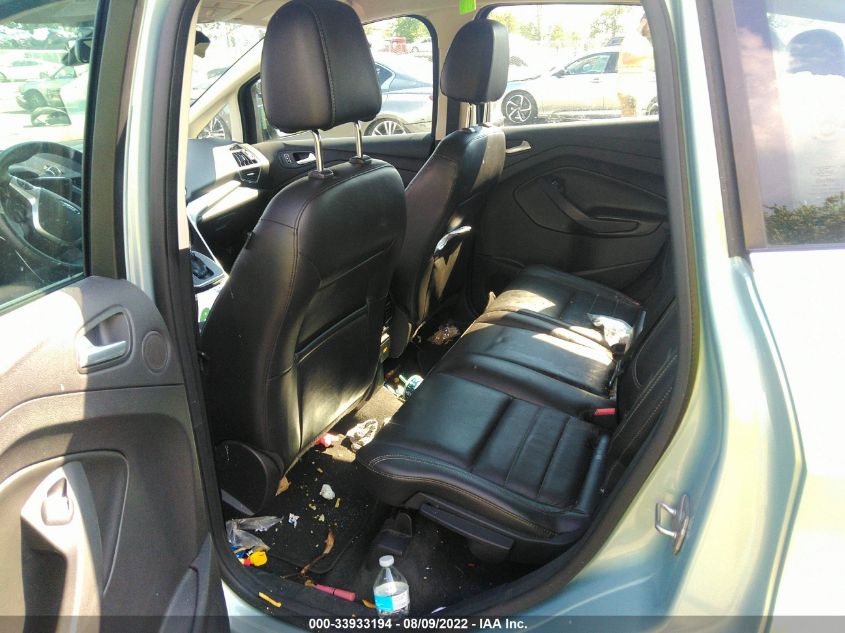 2013 FORD C-MAX ENERGI SEL 1FADP5CU6DL548975