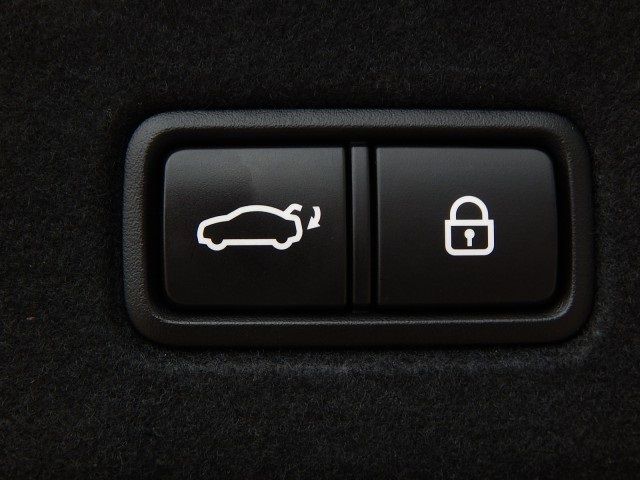 2019 KIA K900 LUXURY KNAS34J67K6013707