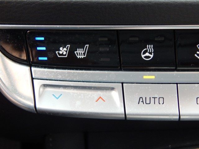 2019 KIA K900 LUXURY KNAS34J67K6013707