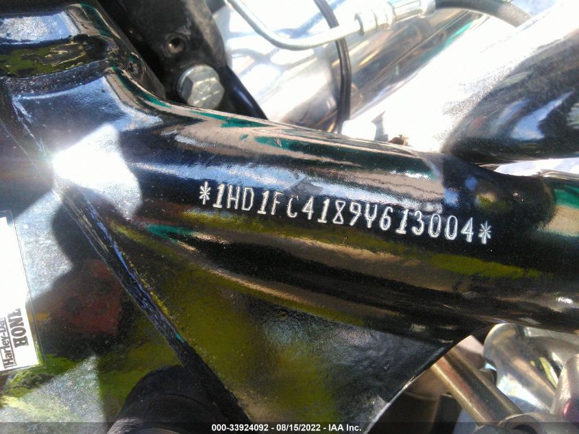 2009 HARLEY-DAVIDSON FLHTCU 1HD1FC4189Y613004