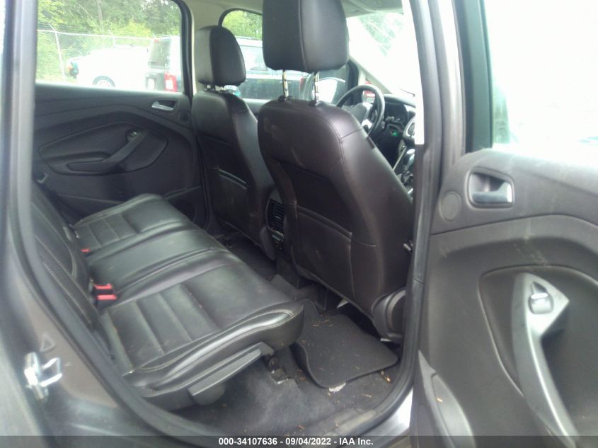 2013 FORD C-MAX HYBRID SEL 1FADP5BU6DL506694