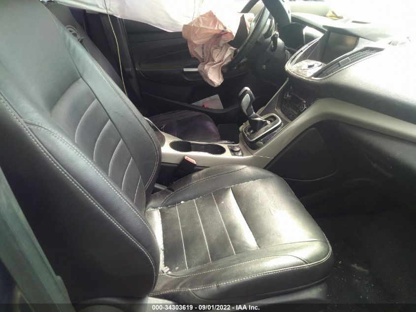 2013 FORD C-MAX ENERGI SEL 1FADP5CU4DL551003