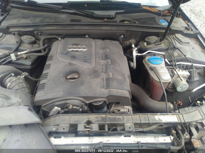 2013 AUDI A4 PREMIUM PLUS WAUHFAFL1DN019168