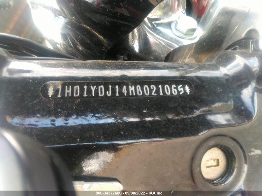 2021 HARLEY-DAVIDSON FLSL 1HD1YDJ14MB021065