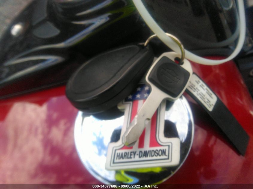 2021 HARLEY-DAVIDSON FLSL 1HD1YDJ14MB021065