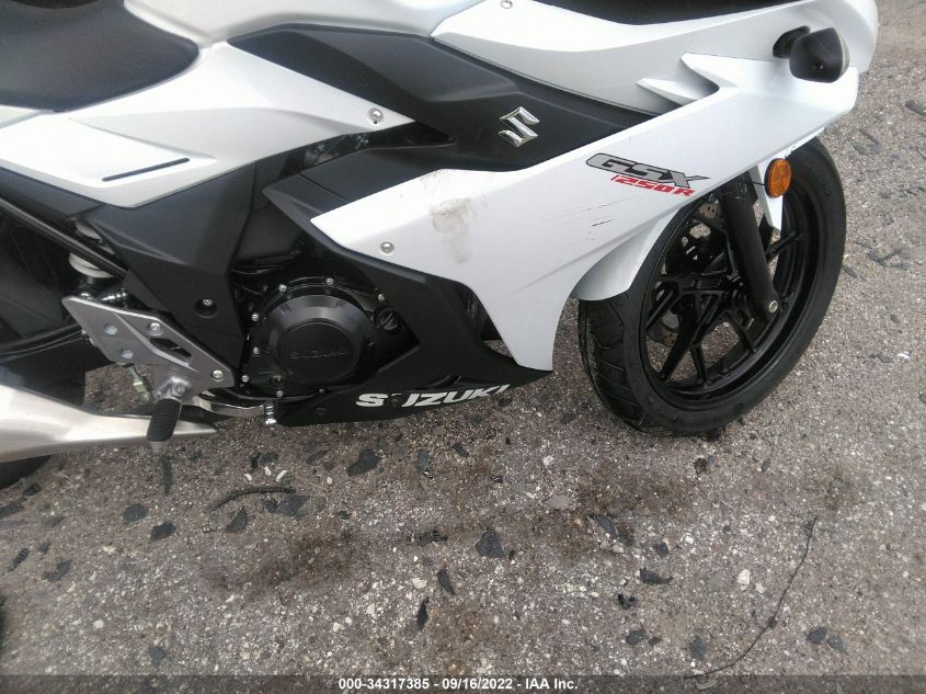 2018 SUZUKI GSX250R LC6DN11A5J1101252