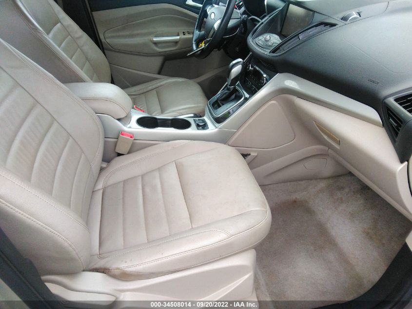 2015 FORD C-MAX ENERGI SEL 1FADP5CU6FL104398