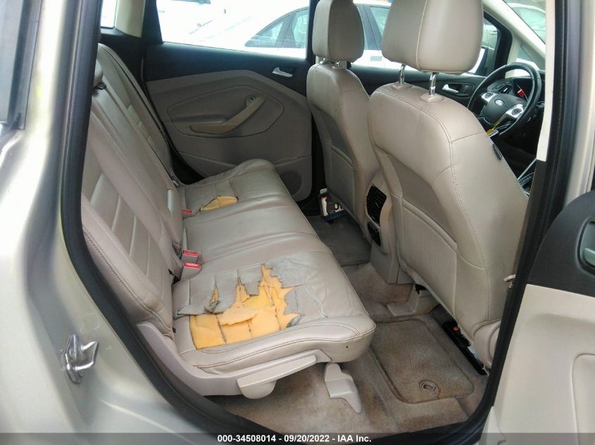 2015 FORD C-MAX ENERGI SEL 1FADP5CU6FL104398