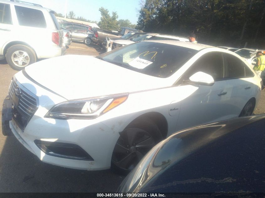 2016 HYUNDAI SONATA PLUG-IN HYBRID LIMITED KMHE54L21GA021354